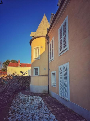 Le jardin de l'arbre sec + parking, proche château.